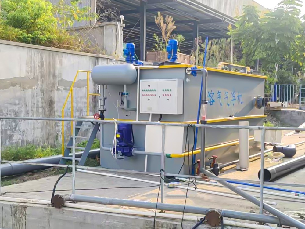 魚(yú)類(lèi)屠宰廢水處理：難題與解決方案